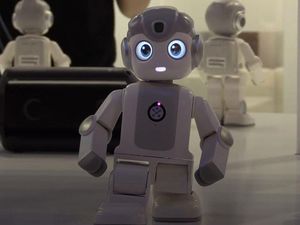 Supporting image for story: Shropshire Star comment: Welcome the rise of the robots