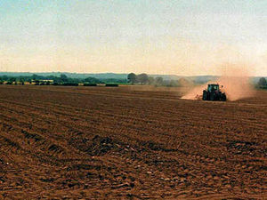 Supporting image for story: Farming Talk: Plenty of help on managing your tax relief