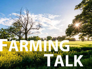 Supporting image for story: No let-up in demand to rent out farm land