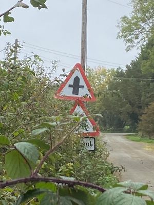 A school sign is obscured by a hedge. Picture: Chris Naylor