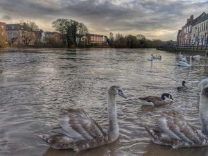 Supporting image for story: Flood barriers stay as more rain due