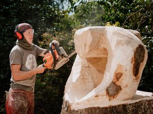 Supporting image for story: Chainsaw art causes a buzz at popular garden