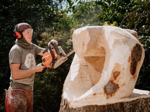 Supporting image for story: Chainsaw art causes a buzz at popular garden