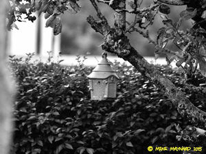 Supporting image for story: Photography: Aperture settings