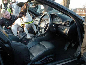 Supporting image for story: Police arrest six in eight-hour 'lockdown'