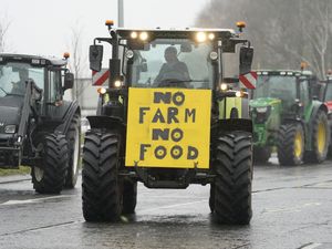 Supporting image for story: Welsh Government announces changes to controversial farming payment scheme