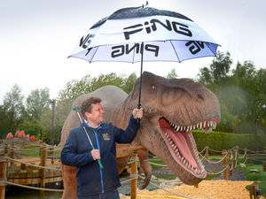 Supporting image for story: Tough going for businesses as wind and rain dampen lockdown reopening