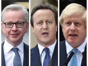 Supporting image for story: Cameron ‘truly sorry’ for division after Brexit referendum