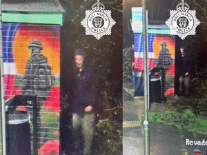 Supporting image for story: Appeal after remembrance mural at Telford bus stop vandalised