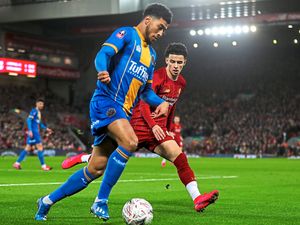 Supporting image for story: Portsmouth v Shrewsbury preview: Embarrassing Accrington loss as low as it will get, vows Josh Laurent