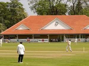 Supporting image for story: Legion bowled over by cricket move