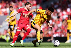 Joao Gomes (Photo by Wolverhampton Wanderers FC/Wolves via Getty Images).