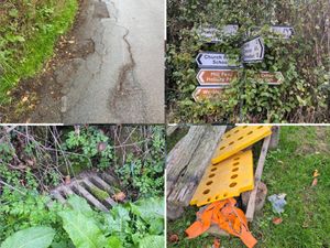 Supporting image for story: Sorting out the lanes! Rural Shropshire parish to take the lead in sorting out potholes