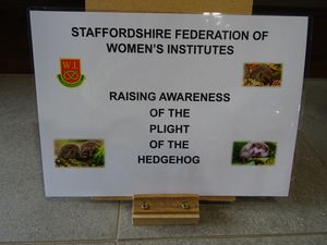 Supporting image for story: Staffs WI Take Hedgehogs on Tour !