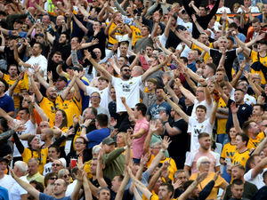 Supporting image for story: Wolves have great expectations says Matt Doherty