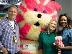 Supporting image for story: The Cat Show Live draws cat lovers from across the globe to the Midlands