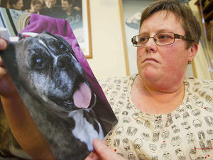 Supporting image for story: Dog lover's heartbreak as crematorium gives her wrong pet's ashes