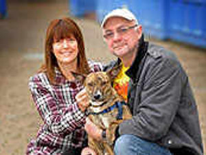 Supporting image for story: New life for Ellie after rescue at yard