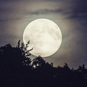 Photo by Julie Powell