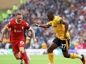 Supporting image for story: Dave Edwards: Wolves really took it to Reds - but needed a second goal