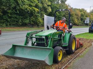 Supporting image for story: New road wildflower planting in Shrewsbury to 'eliminate the use of chemical weedkillers'