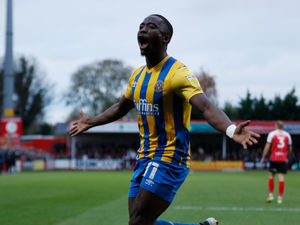 Supporting image for story: Dave Edwards: Good to see Shrewsbury Town fly out the blocks