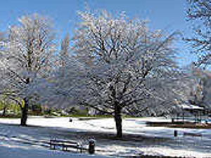 Supporting image for story: Your snow photos