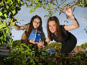 Supporting image for story: Wellington mother and daughter ditch TV to write novels