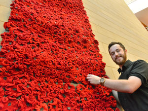 Supporting image for story: Poppy cascade at Shrewsbury's Theatre Severn in tribute to the fallen

