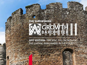 Supporting image for story: Shropshire's fastest-growing firms rake in £1.6 billion sales