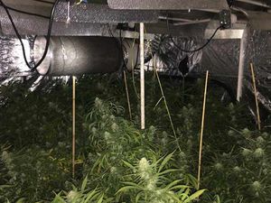 Supporting image for story: IN PICTURES: Cannabis factory sparks flat blaze