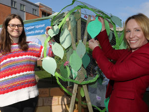 Supporting image for story: Climate group invites eco-pledges from community