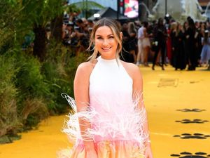 Supporting image for story