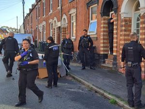 Supporting image for story: Three 'dangerous' dogs seized in police raids on two houses