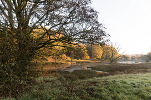 The Wild Boar in Windermere
