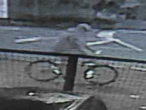 Supporting image for story: Woman raped under Telford bridge after night out