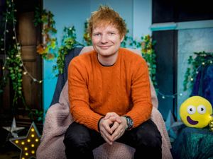 Supporting image for story: Ed Sheeran makes CBeebies Bedtime Stories debut