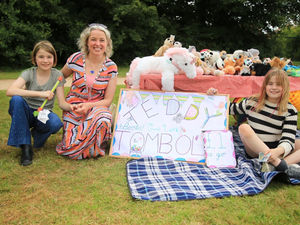 Supporting image for story: Albrighton 'Summer Fayre' event aiming to give primary school a tech reboot