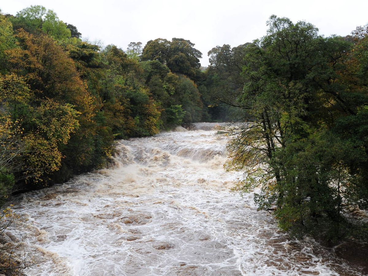 New fines proposed for water firms committing smaller environmental offences