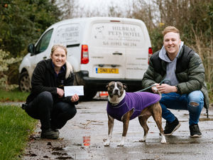Supporting image for story: Ash and Holly help rescue centre after Pawtrait Pets competition win