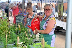 Ludlow Green Festival in Castle Square. Lynn Yendell from: Peter the Bee and Friends (a wildflower stall).