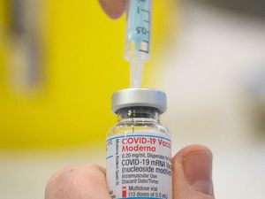 Supporting image for story: UK Covid cases should drop in next one to three weeks, says expert