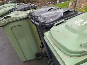 Supporting image for story: Calls for alternative food waste collection service in Walsall rejected