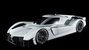 Supporting image for story