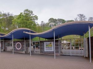 Supporting image for story: Dudley Zoo fires back after being compared to post-apocalyptic zombie video game by reviewer