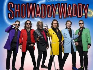 Supporting image for story: The 'Waddy return once more to Brierley Hill as part of 50th anniversary celebrations.