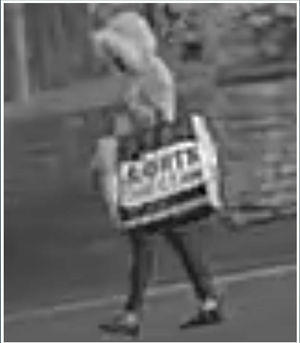 CCTV images released by police of the mysterious female figure