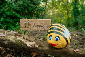 1st Ashley Cubs near Loggerheads have been helping maintain the Fairy Forest in Loggerheads which was created during the Covid-19 pandemic