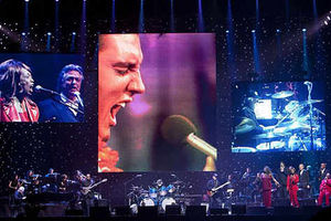 Supporting image for story: Crowds are all shook up at Elvis gig