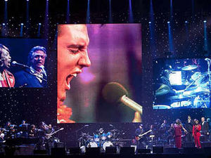 Supporting image for story: Crowds are all shook up at Elvis gig